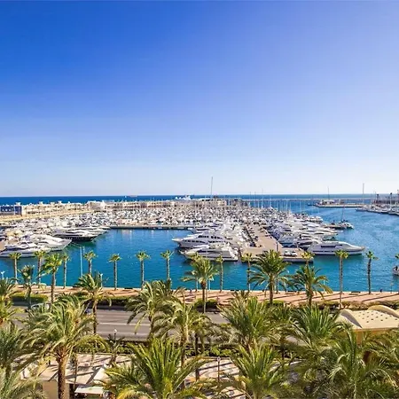 Casa Patas Alicante